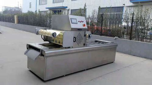 研偉食品機械 盒式包裝機如何革新水果包裝與電子產品的精密包裝