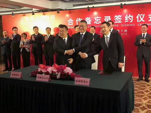 特斯拉上海超級工廠落地，年產50萬輛開啟中國新能源汽車新篇章